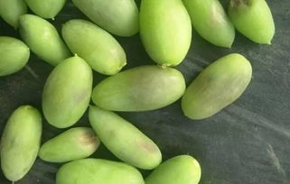 植保科技助力農(nóng)業(yè)發(fā)展，特色產(chǎn)業(yè)推動(dòng)鄉(xiāng)村振興